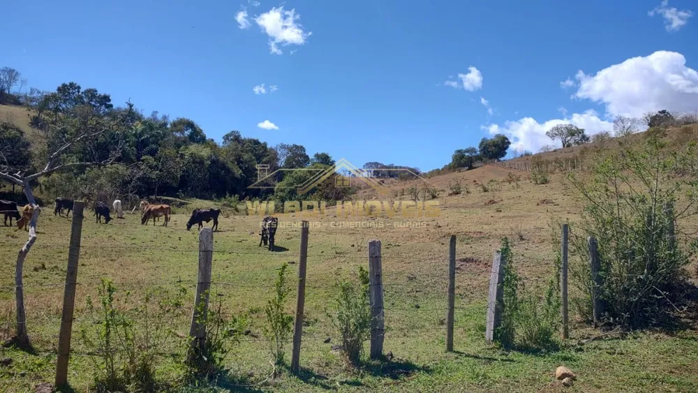 Terreno, 2 hectares - Foto 7