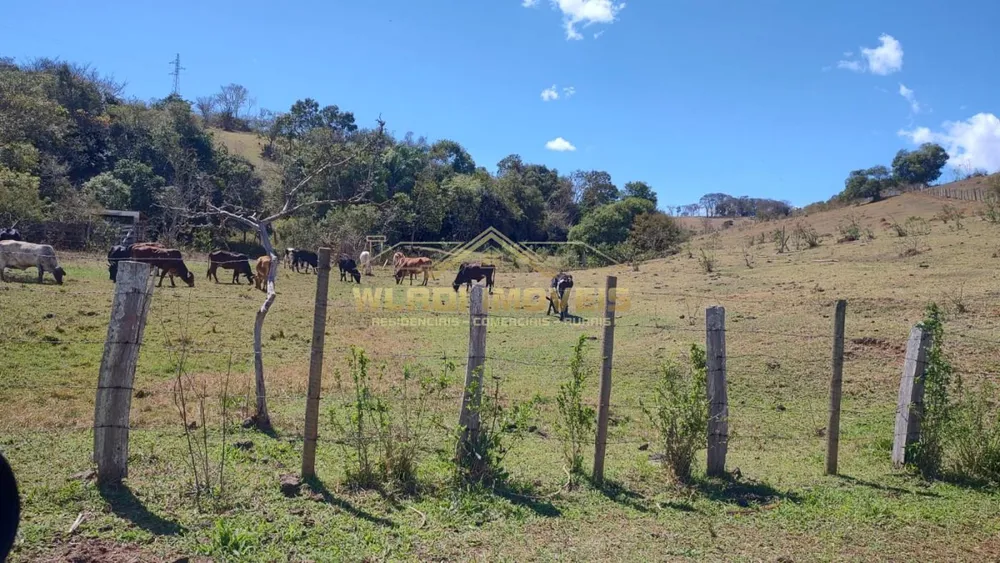 Terreno, 2 hectares - Foto 8