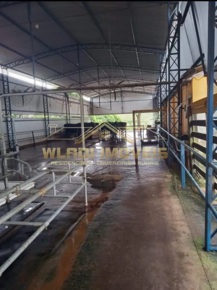 Fazenda, 116 m² - Foto 6