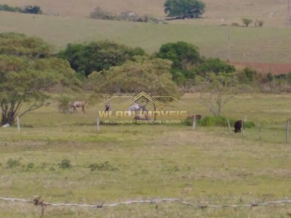 Fazenda, 197 m² - Foto 2
