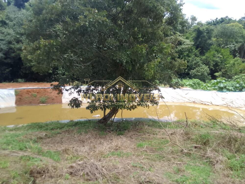 Sítio, 15 hectares - Foto 2