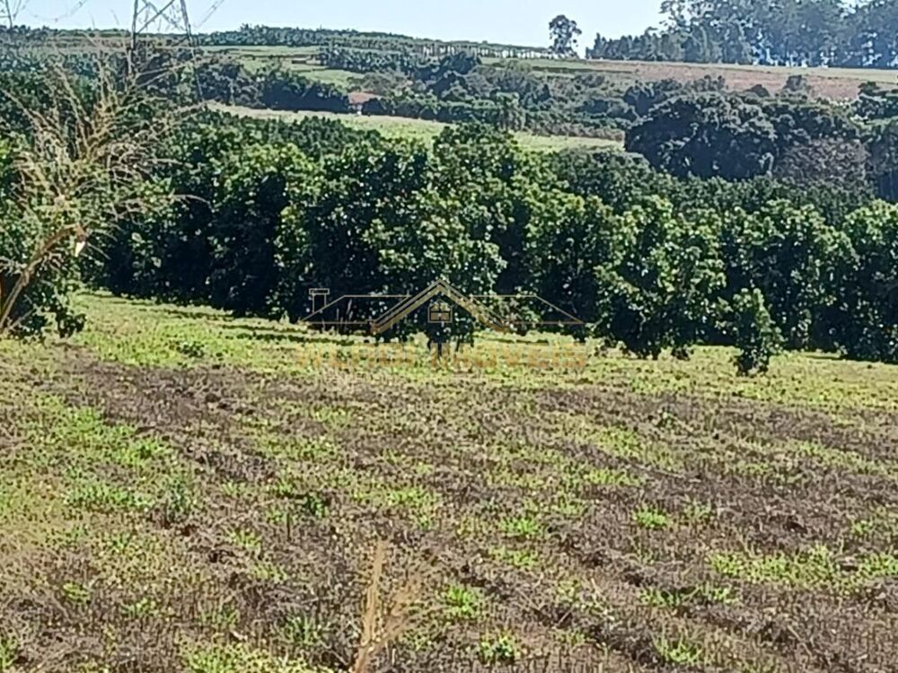 Sítio, 15 hectares - Foto 6