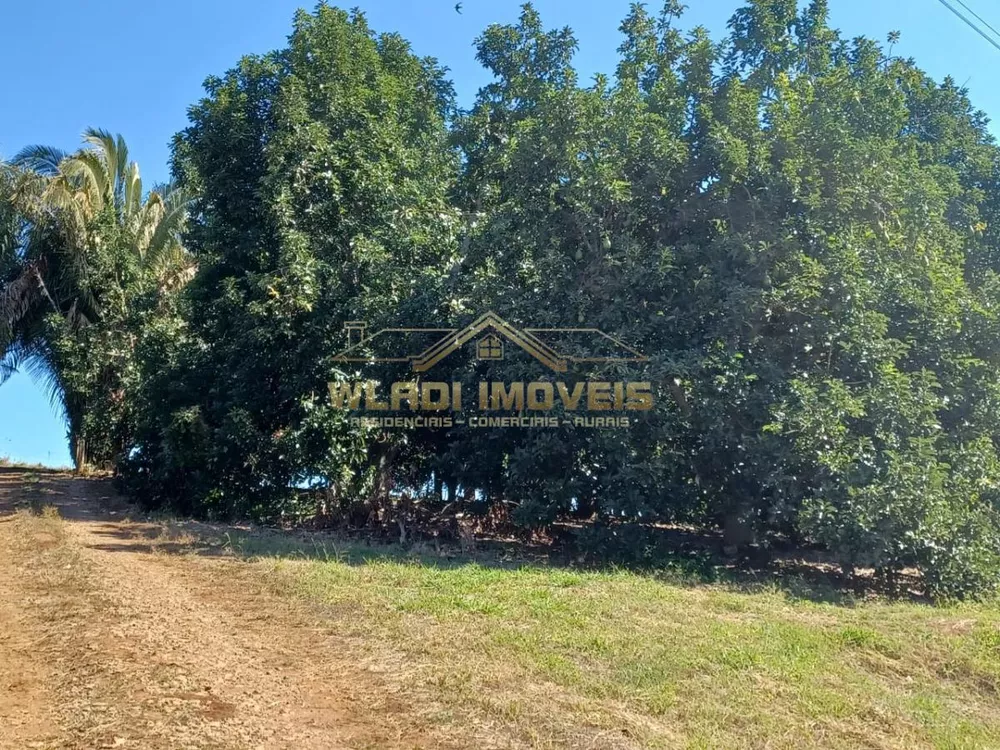 Sítio, 15 hectares - Foto 3