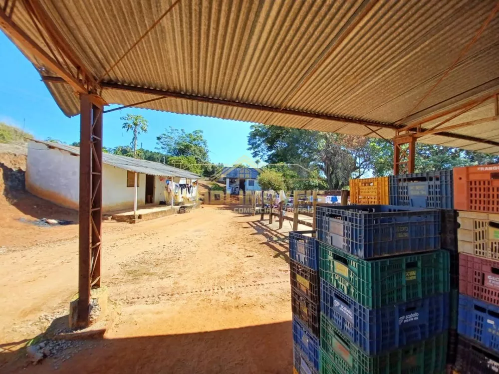 Sítio, 15 hectares - Foto 4