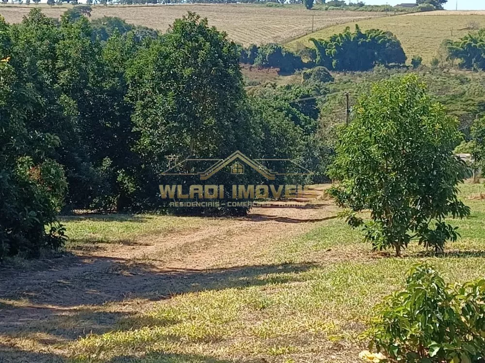 Sítio, 15 hectares - Foto 1