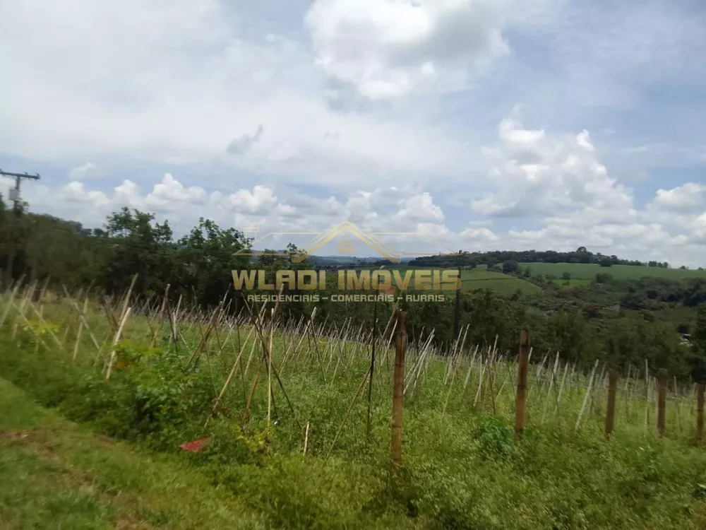 Sítio, 15 hectares - Foto 7