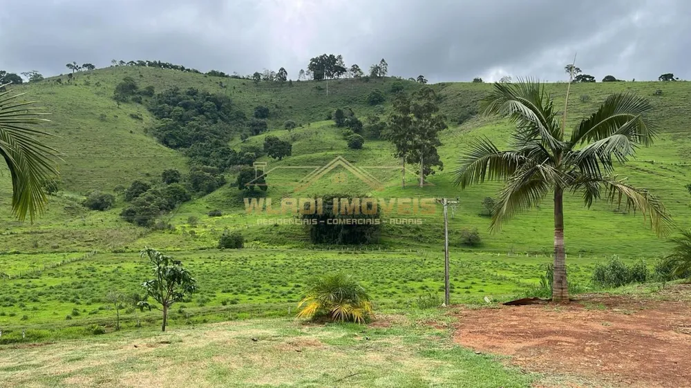 Chácara, 3 quartos, 2 hectares - Foto 1