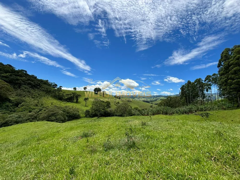 Terreno à venda, 12100m² - Foto 4