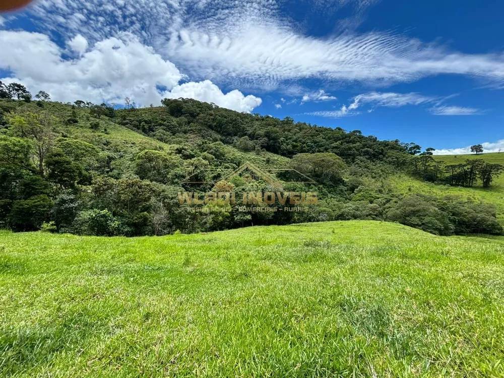 Terreno à venda, 12100m² - Foto 3