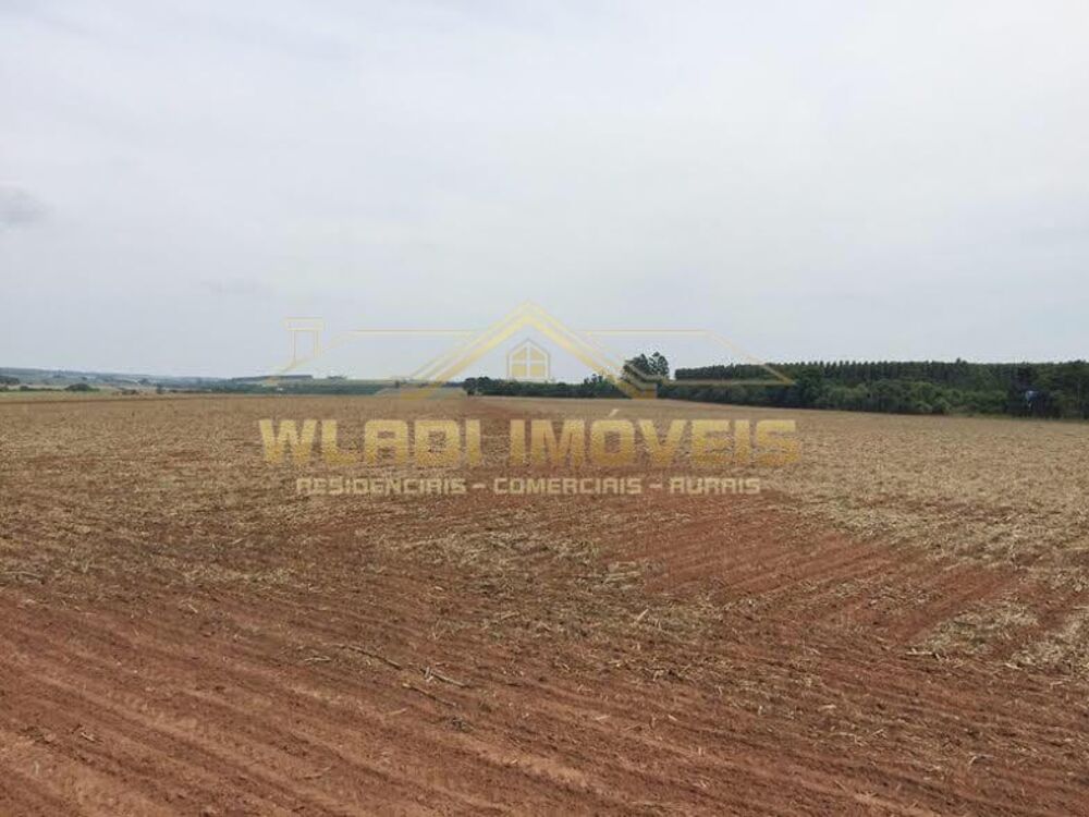 Fazenda, 300 m² - Foto 1