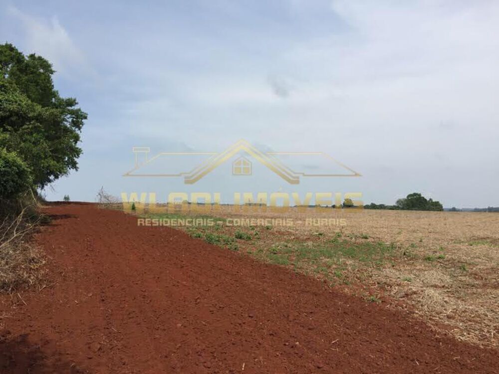 Fazenda, 300 m² - Foto 2