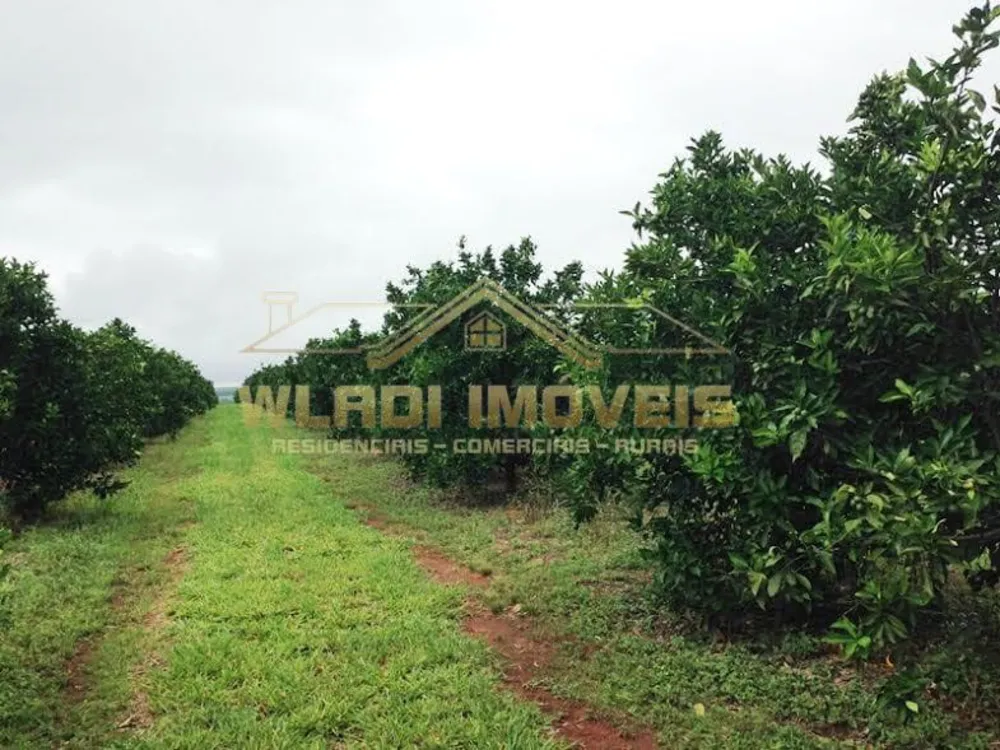 Fazenda, 300 m² - Foto 6
