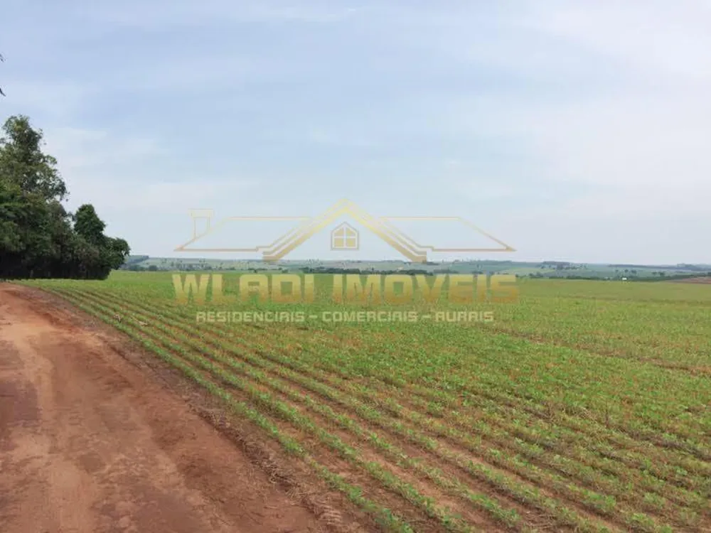 Fazenda, 300 m² - Foto 2