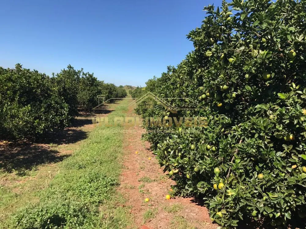 Fazenda, 300 m² - Foto 7