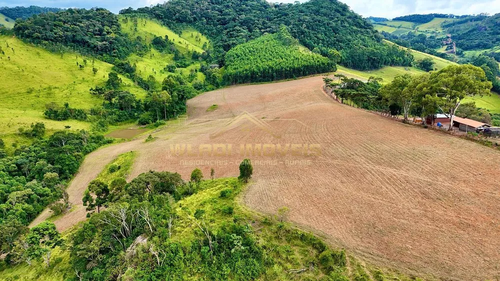 Sítio, 20 m² - Foto 4