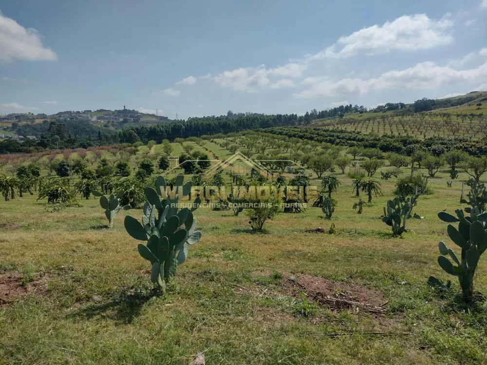 Sítio, 5 m² - Foto 2