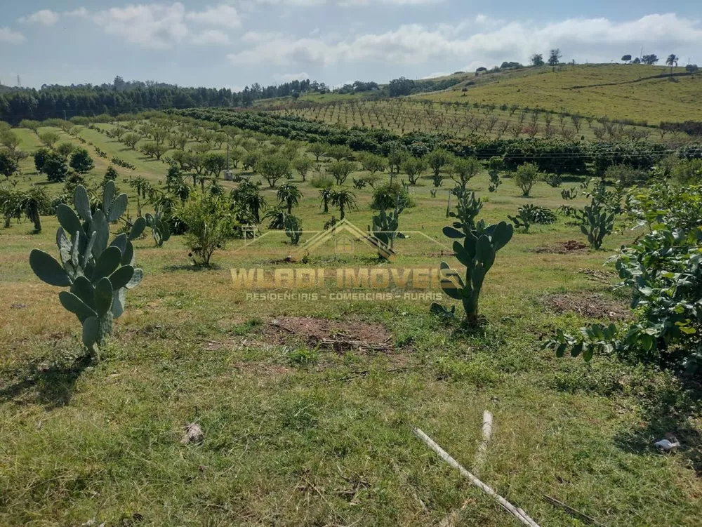 Sítio, 5 m² - Foto 1