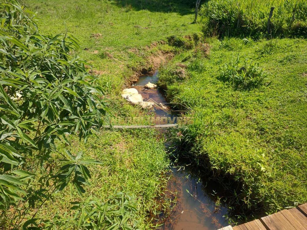 Sítio, 11 m² - Foto 2