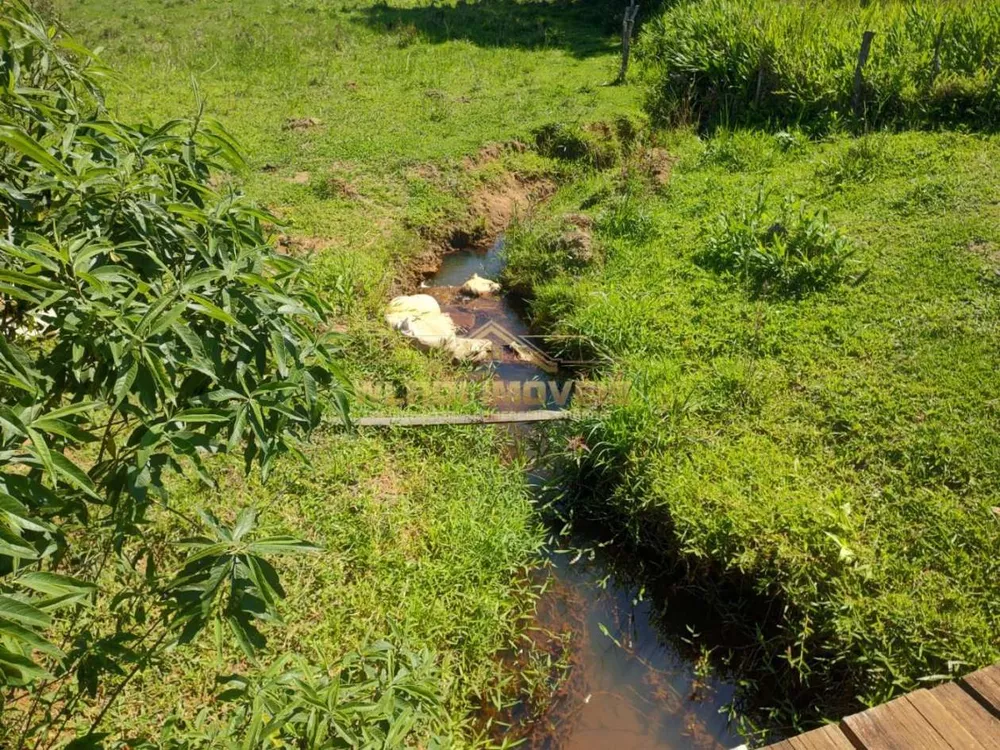 Sítio, 11 m² - Foto 11