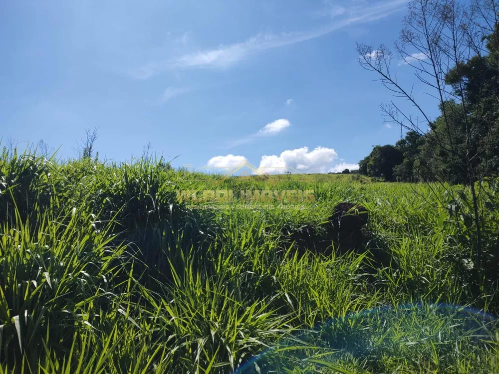 Sítio, 11 m² - Foto 8