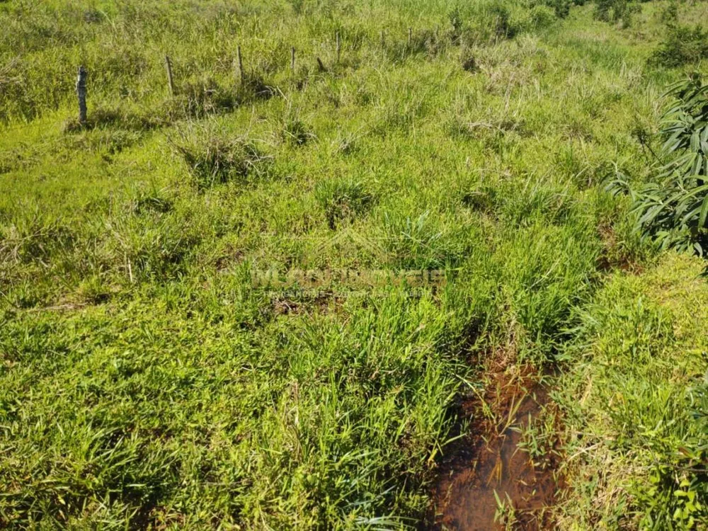 Sítio, 11 m² - Foto 12