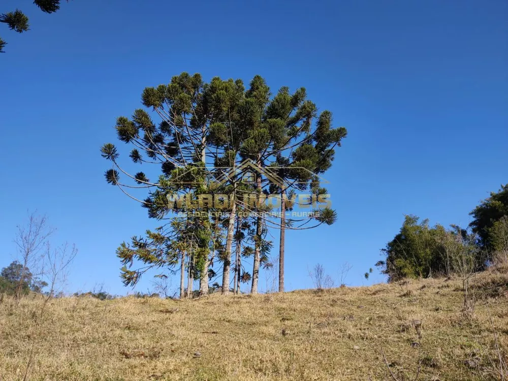 Sítio, 5 m² - Foto 23