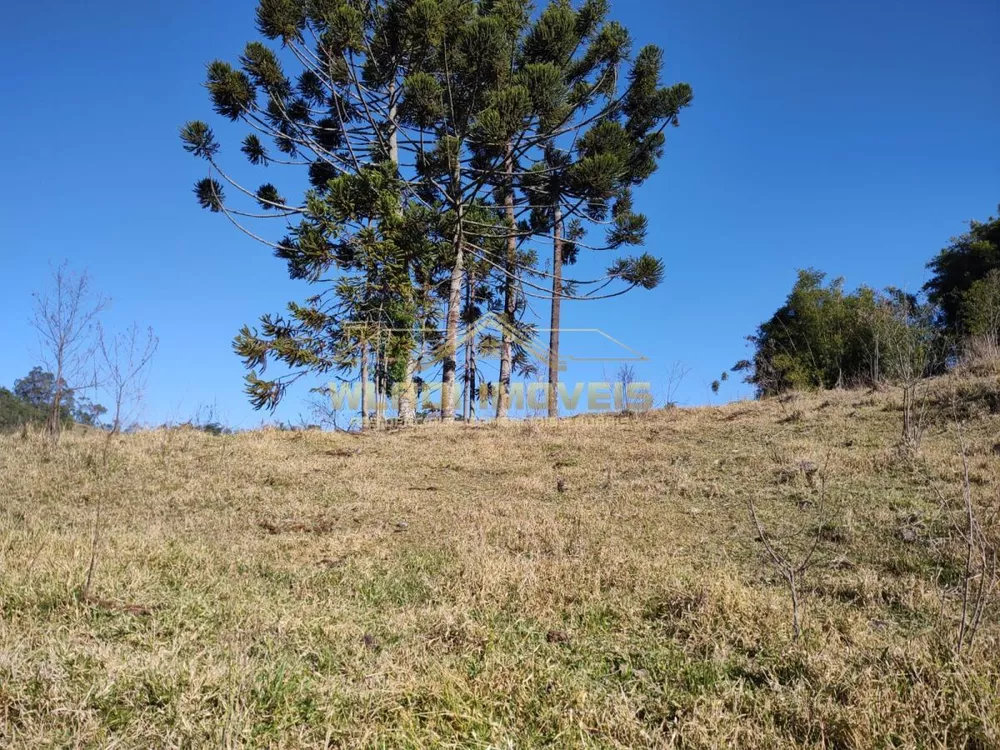 Sítio, 5 m² - Foto 11