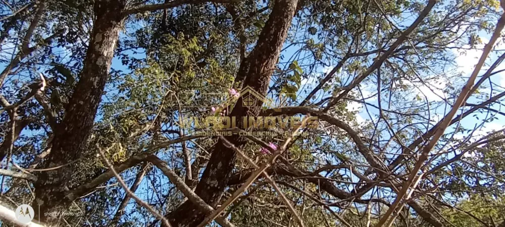 Sítio, 18 m² - Foto 10