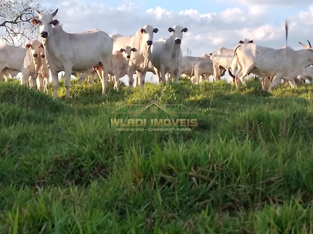 Fazenda, 1200 m² - Foto 1