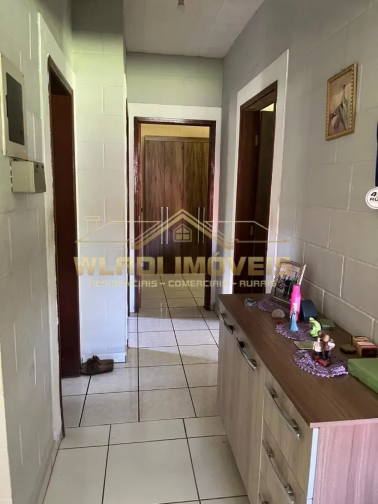 Chácara, 4 quartos, 3000 m² - Foto 3