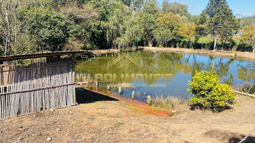 Chácara à venda, 20000m² - Foto 3