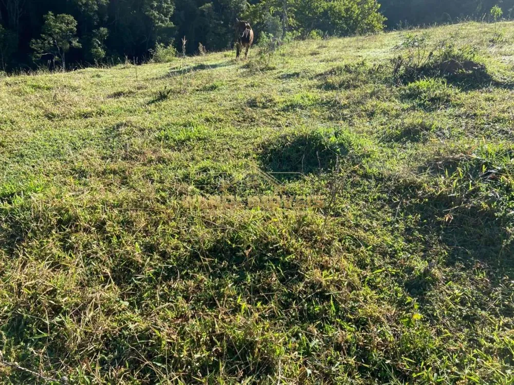 Terreno, 9000 m² - Foto 3