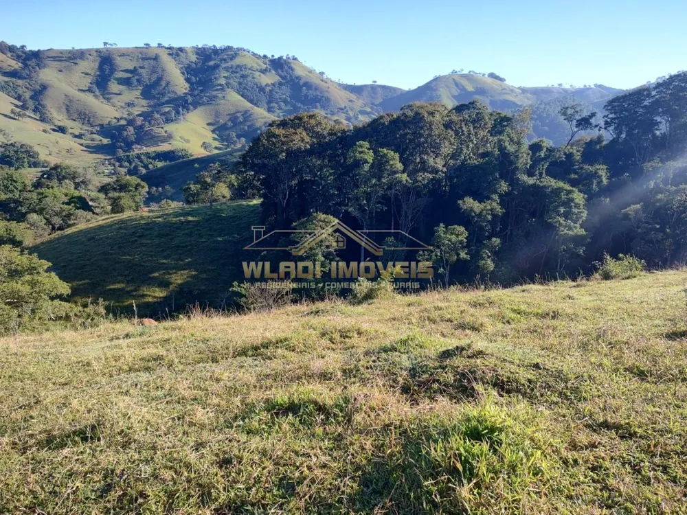 Terreno, 9000 m² - Foto 6