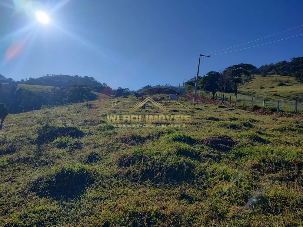Terreno, 9000 m² - Foto 7