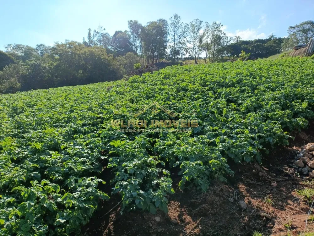 Sítio, 3 m² - Foto 3