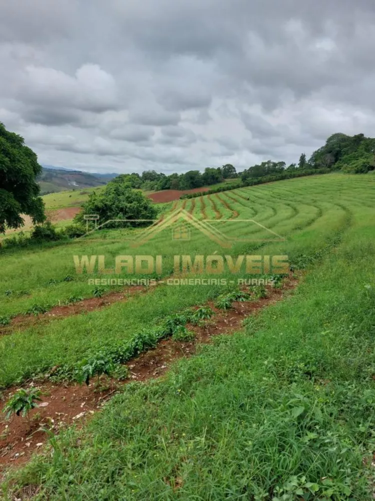 Fazenda à venda, 80m² - Foto 4