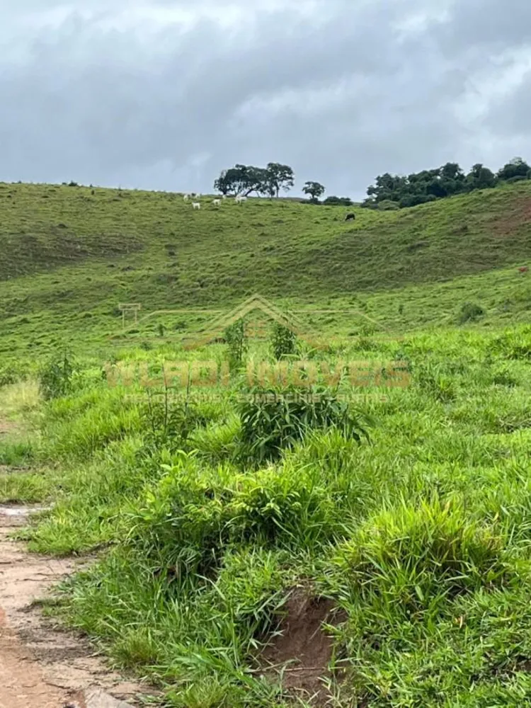 Fazenda, 134 m² - Foto 3
