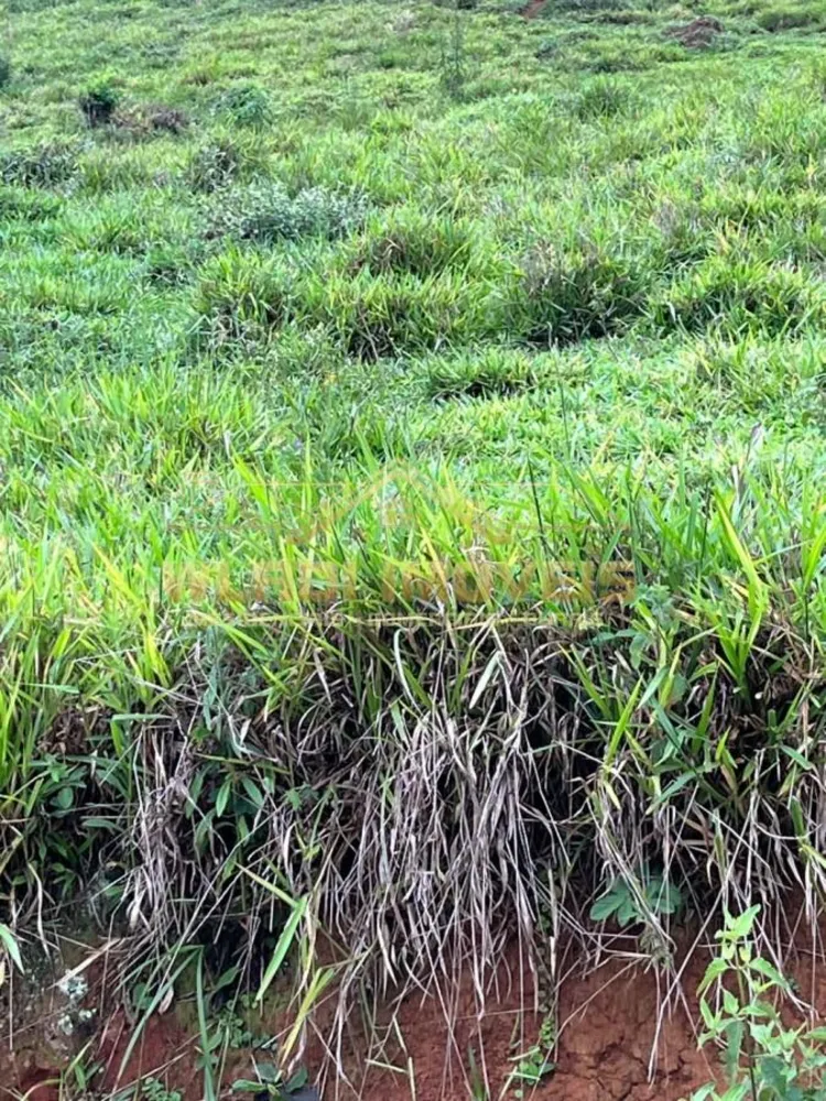 Fazenda, 134 m² - Foto 8