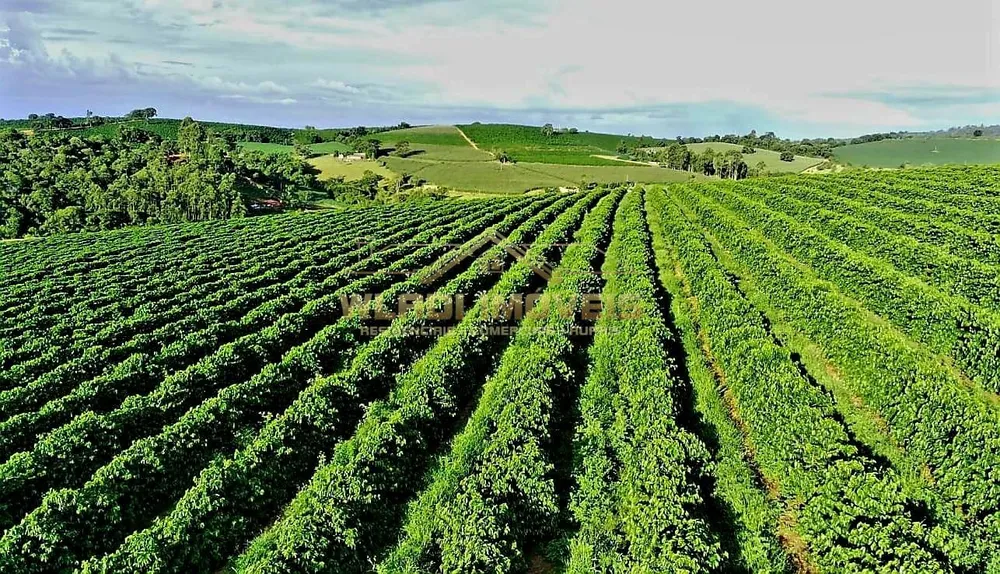 Fazenda, 40 m² - Foto 12