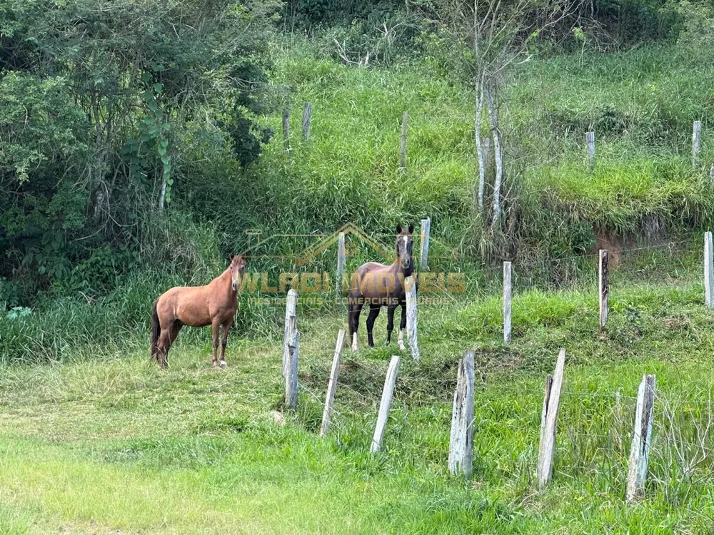 Sítio, 15 m² - Foto 16