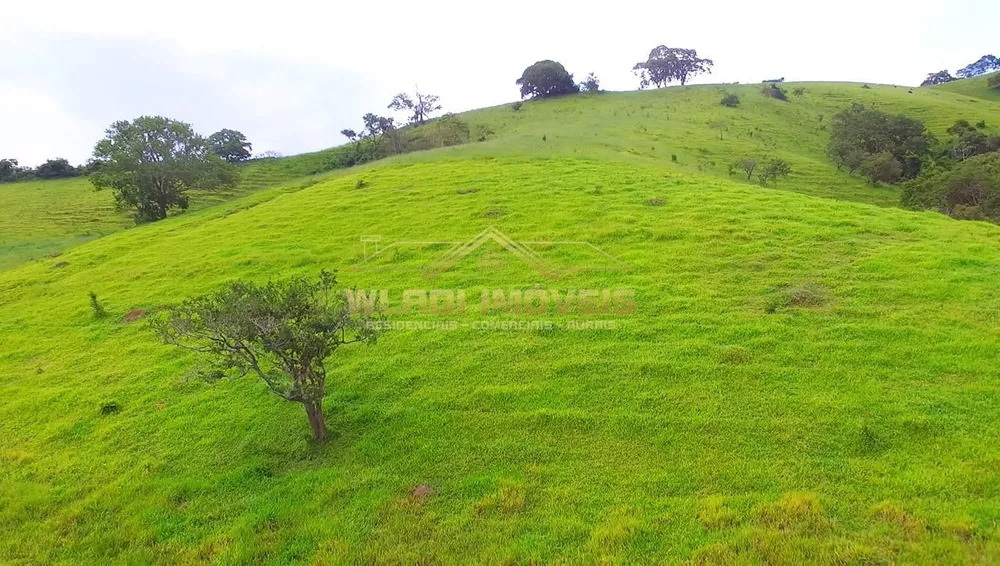 Sítio, 15 m² - Foto 36