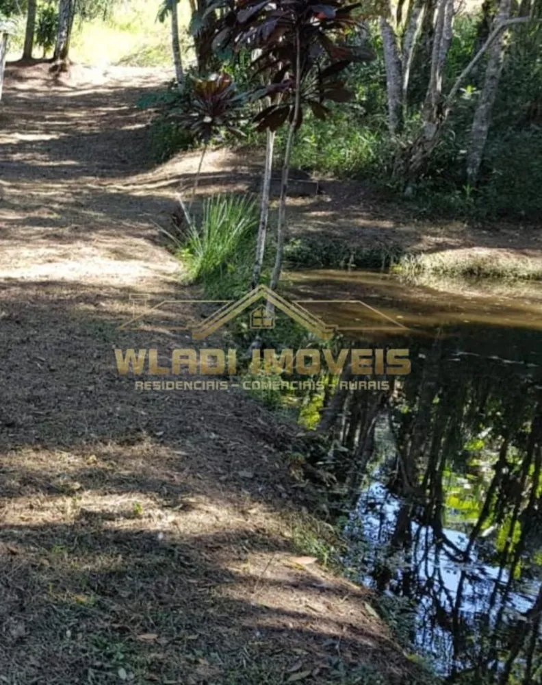 Chácara, 5 quartos, 4 hectares - Foto 7