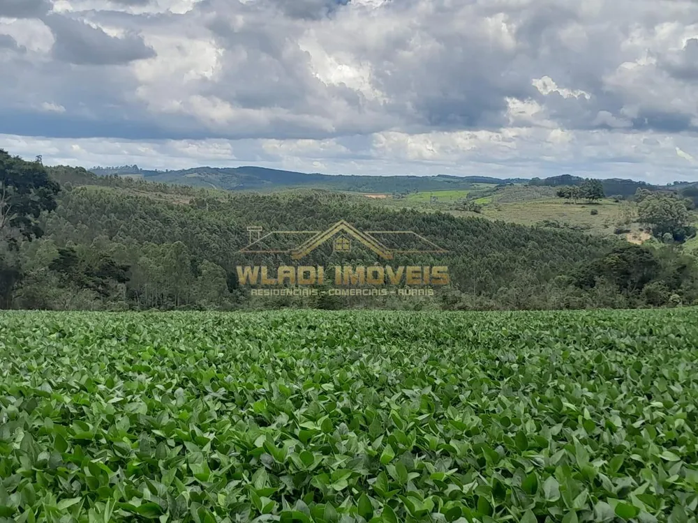 Fazenda, 700 m² - Foto 6