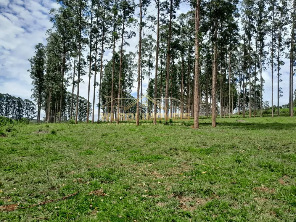 Fazenda, 700 m² - Foto 7