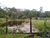 Fazenda, 620 m² - Foto 1