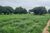 Fazenda, 7300 m² - Foto 3