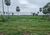 Fazenda, 7300 m² - Foto 4