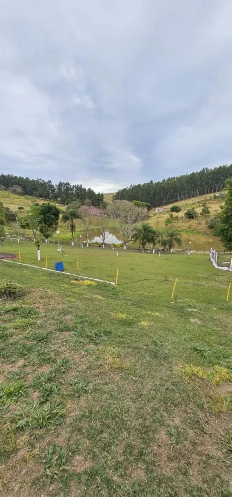 Chácara, 6 quartos, 4 hectares - Foto 14