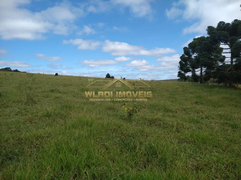 Fazenda, 251 m² - Foto 11