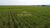 Fazenda, 80 m² - Foto 4